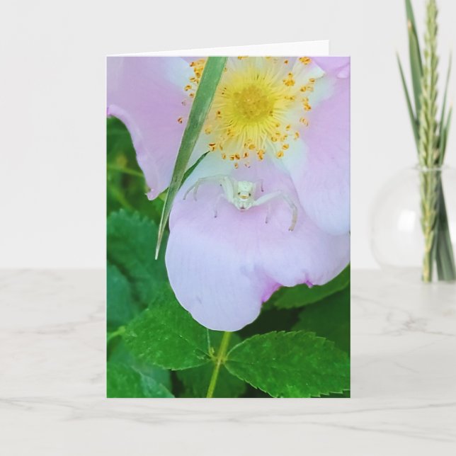 5"x7" Klappkarte|| Smilin"bei Ihnen Karte (Vorderseite)