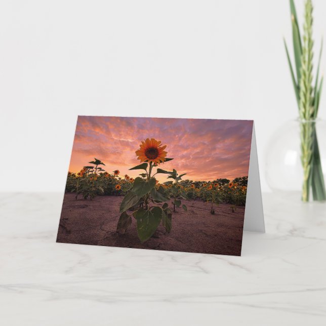 5 x 7 Set für leere Notizkarte (Vorderseite)