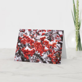 5 x 7 Set für leere Notizkarte