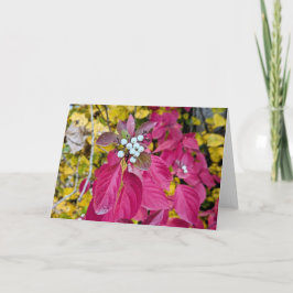 5 x 7 Set für leere Notizkarte