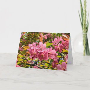 5 x 7 Set für leere Notizkarte