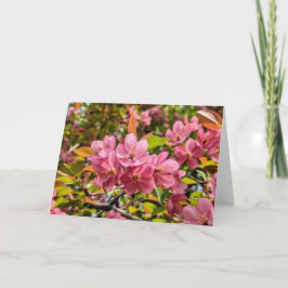 5 x 7 Set für leere Notizkarte