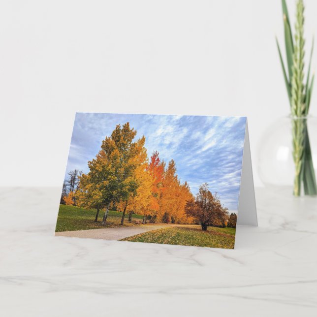 5 x 7 Set für leere Notizkarte (Vorderseite)