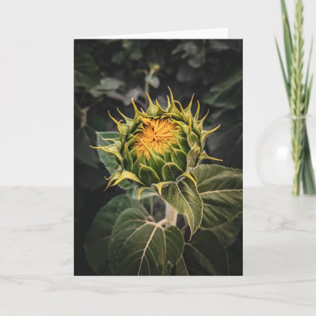 5 x 7 Set für leere Notizkarte (Vorderseite)