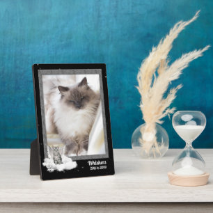 5x7 Katzen-Gedenkfoto Silber-Tabby Fotoplatte