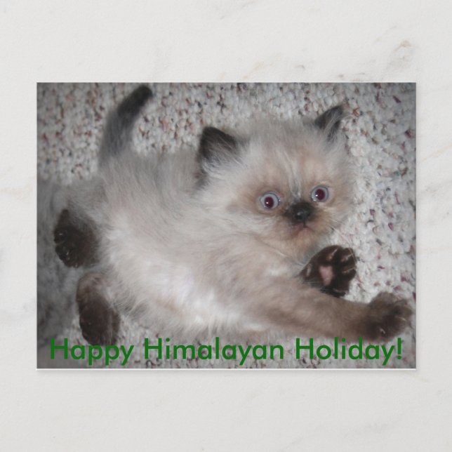 5x7zazzle, Happy Himalayan Holiday! Feiertagspostkarte (Vorderseite)
