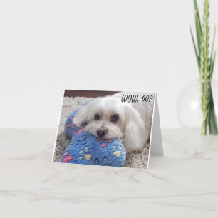 *60. BIRTHDAY* HA HA (FUNNY DOG SPASS) Karte