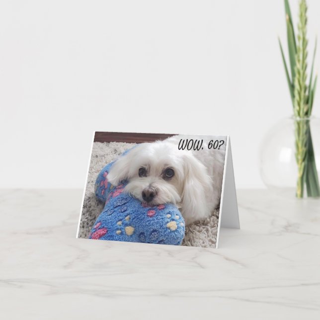 *60. BIRTHDAY* HA HA (FUNNY DOG SPASS) Karte (Vorderseite)