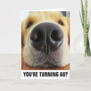 60. BIRTHTAGFUNNY DOG GREETING CARDS KARTE