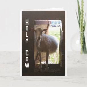 "60. GEBURTSTAG?? ES KANN NICHT GLAUBEN, DASS IT-K KARTE