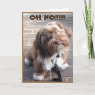 **60. GEBURTSTAG** OH KEINE SAGEN PUPPY KARTE