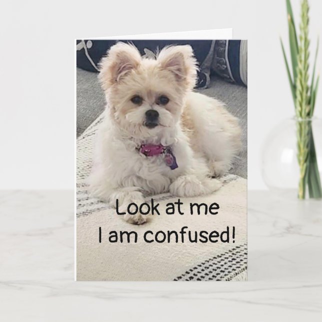 **60. GEBURTSTAG** SO SEHR KONFUSIERT! Karte (Vorderseite)