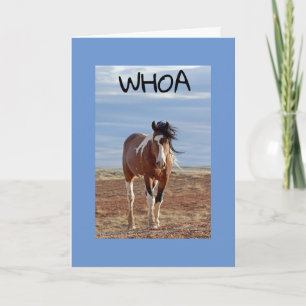 **60. & SIE SIND FABULOUS WIE GEWÖHNLICH KARTE