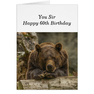 60. Über dem Hügel ernsthaft aussehender Grizzly B