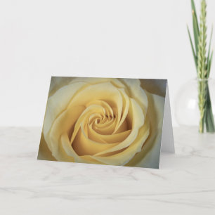 6363-Gelbe Rose Karte