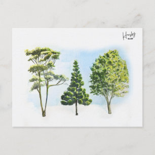 63; australische Bäume Postkarte