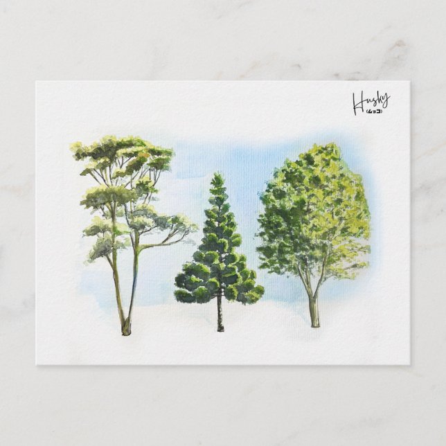 63; australische Bäume Postkarte (Vorderseite)
