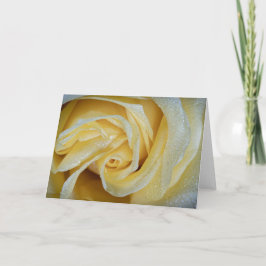 6557-Gelbe Rose mit Taub Karte