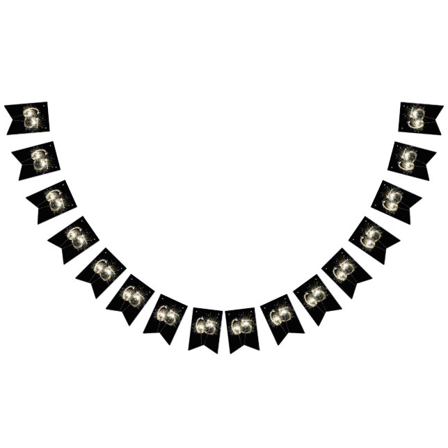 65. Geburtstag oder Geburtstag Party Sparklers Wimpelkette (Alle)