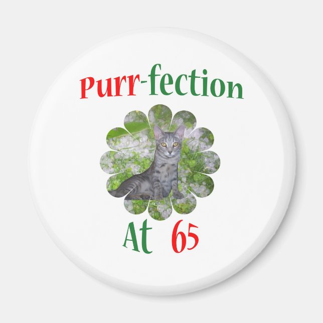 65 Purr-fektion Magnet (Vorne)