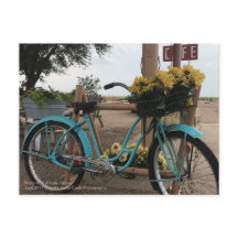 66 | Fahrrad und Sonnenblumen | Adrian, Texas