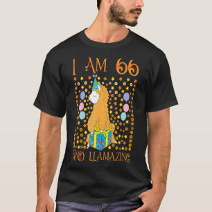 66. Geburtstag für Frauen Oma Mama Ihre 66 Jahre O T-Shirt
