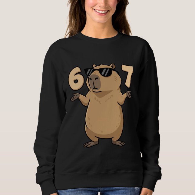 67 Capybara Meme 6 7 Aesthetic for Kids Young Adul Sweatshirt (Vorderseite)