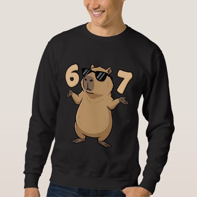 67 Capybara Meme 6 7 Aesthetic for Kids Young Adul Sweatshirt (Vorderseite)