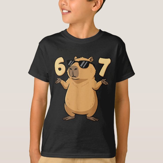 67 Capybara Meme 6 7 Aesthetic For Kids Young Adul T-Shirt (Vorderseite)
