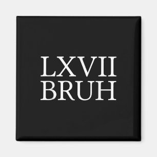 67 Geschichte Meme Six Seven Bruh Lustiger Geschic Magnet