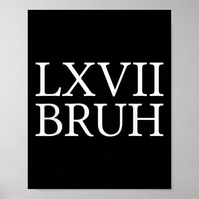 67 Geschichte Meme Six Seven Bruh Lustiger Geschic Poster (Vorne)