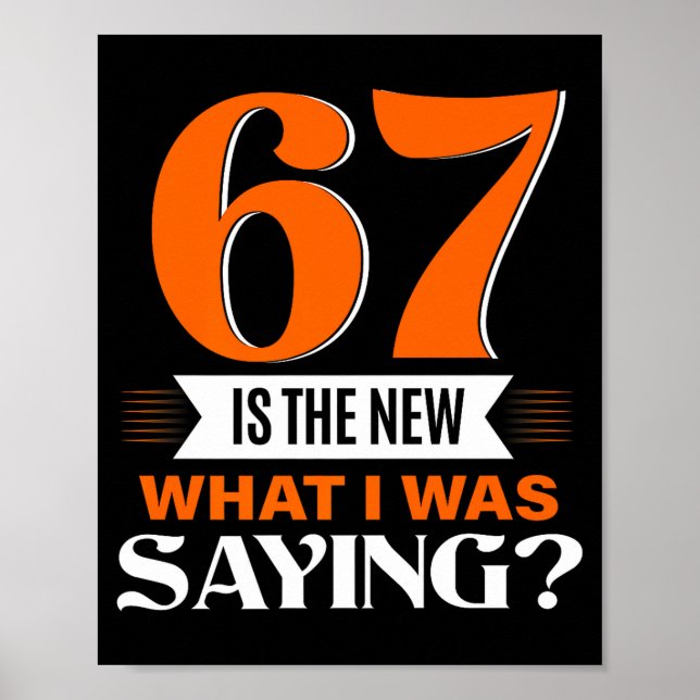67 Is The New What I Was Saying Funny 67th Birthda Poster (Vorne)