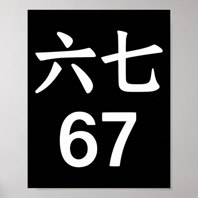 67 Meme auf Chinesisch Lustig 67 Meme  Poster (Vorne)