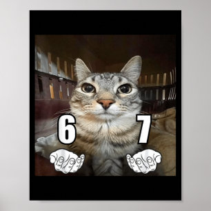 67 Meme Lustige Katze Sechs Sieben Meme 6 7  Poster
