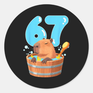 67 Six Seven 6-7 Capybara Lustiger Teenager Kinder Runder Aufkleber