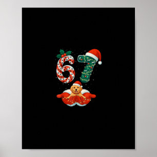67 Weihnachten 6 7 Meme Pyjama Feiertag Hunde Lieb Poster