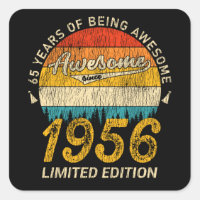 69 Jahre alt 1956 Retro Phantastisch 69. Geburtsta