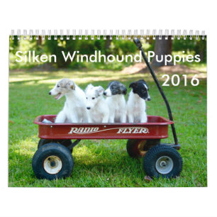 6 2016 seidener Windhound Welpen-Kalender Kalender