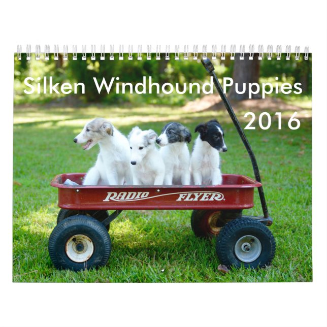 6 2016 seidener Windhound Welpen-Kalender Kalender (Titelbild)