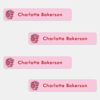 6 7 Six Seven Meme Trend Girls Waterproof Labels Etiketten
