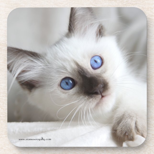 6 Balineseharte PlastikUntersetzer mit Getränkeuntersetzer (Vorderseite)