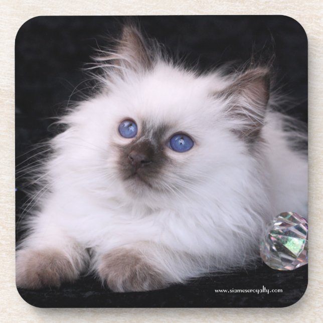 6 Balineseharte PlastikUntersetzer mit Getränkeuntersetzer (Vorderseite)