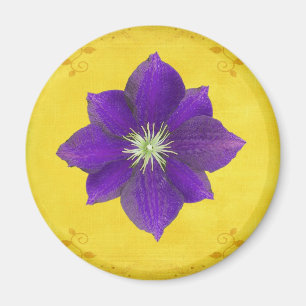 6. Chakra Geschenk - drittes Auge Magnet