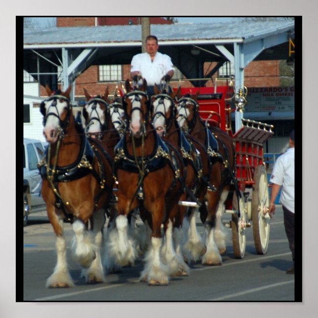 6 Druck der Pferdehalter Poster (Vorne)