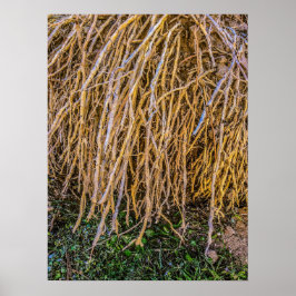 6 Druck, Poster (Halbschall)