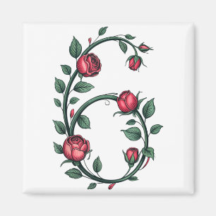 6 Floral 67 Rose Valentinstag Lustige Liebe Passen Magnet