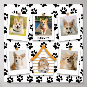 6 Foto Collage Name Dog House Paw Prints Poster
