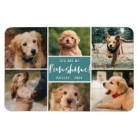 6 Foto von Collage You Are My Funshine | Teal Pet