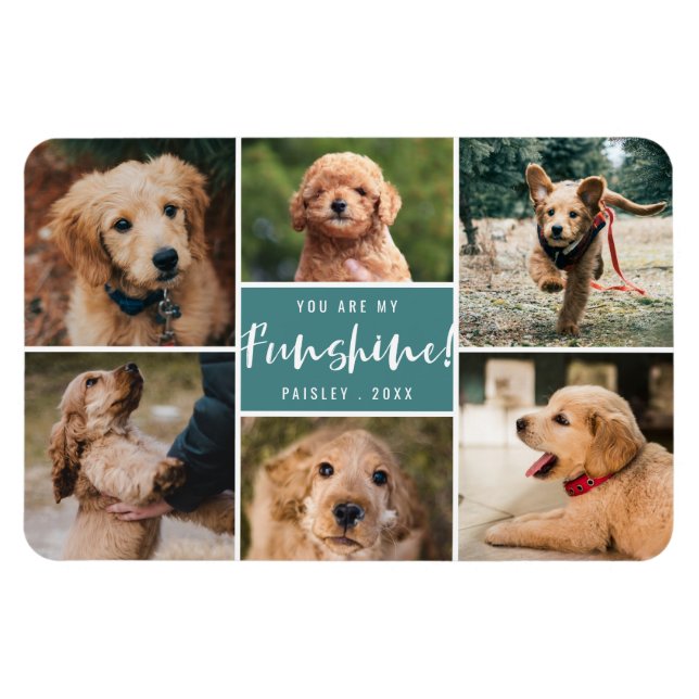 6 Foto von Collage You Are My Funshine | Teal Pet Magnet (Horizontal)