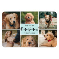 6 Fotocollage Sie sind mein Funshine | Aqua Pet